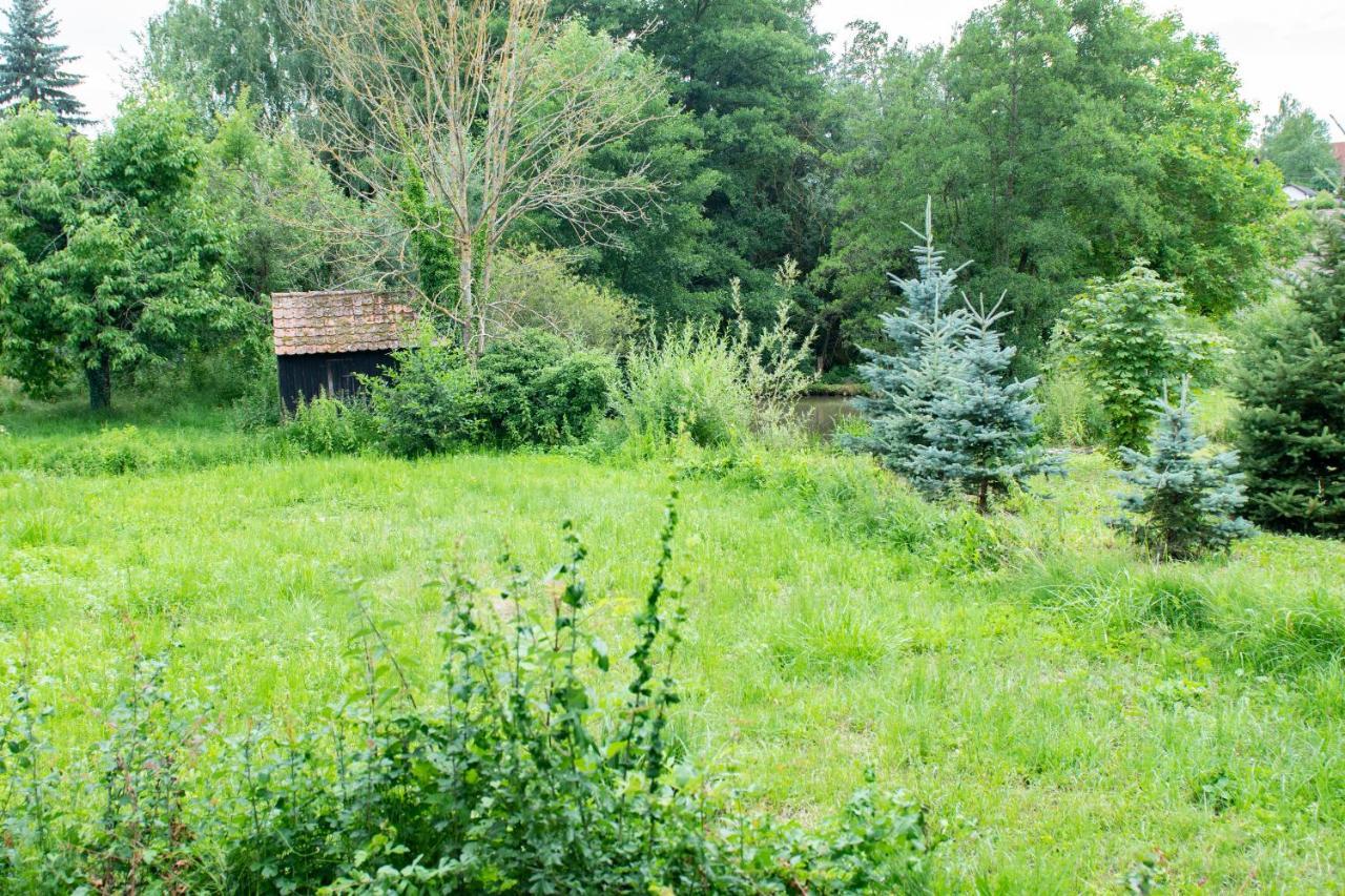 Auf Ehemaligen Bauernhof In Der Naehe Von Bamberg Walsdorf (Bavaria)